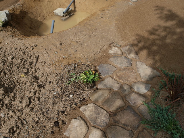 img0098.jpg