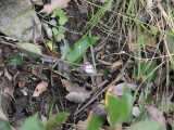 img0024.jpg