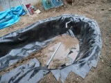 img0029.jpg