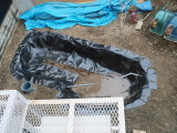 img0043.jpg