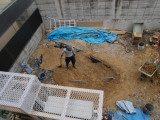 img0073.jpg