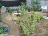 img0086.jpg
