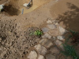 img0098.jpg