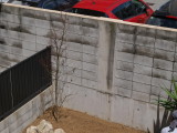 img0105.jpg