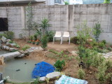 img0108.jpg