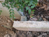 img0111.jpg