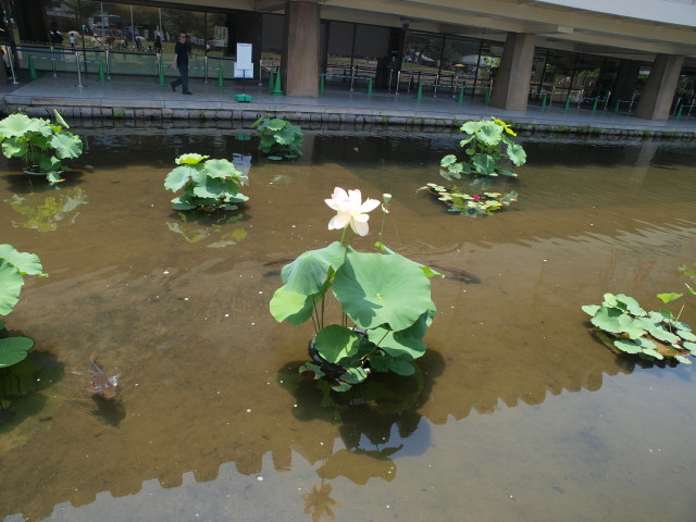 img0001.jpg