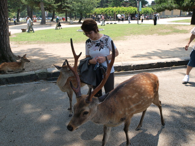 img0005.jpg