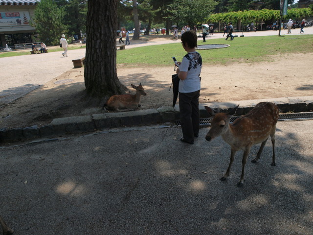 img0006.jpg