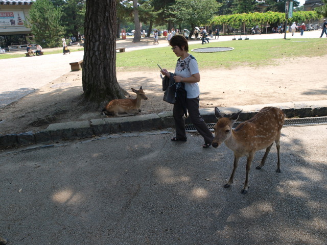 img0007.jpg