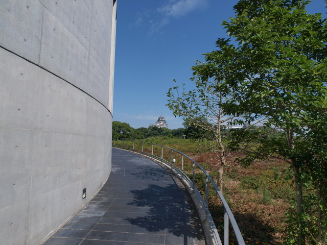 img0002.jpg