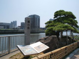 img0004.jpg