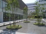 img0006.jpg