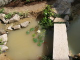 img0000.jpg