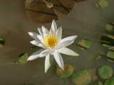 img0002.jpg