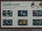 img0125.jpg