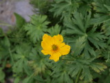 img0129.jpg