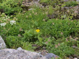 img0132.jpg