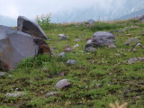 img0136.jpg