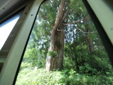 img0147.jpg