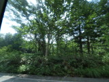 img0148.jpg