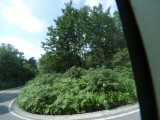 img0149.jpg