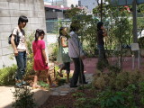 img0015.jpg