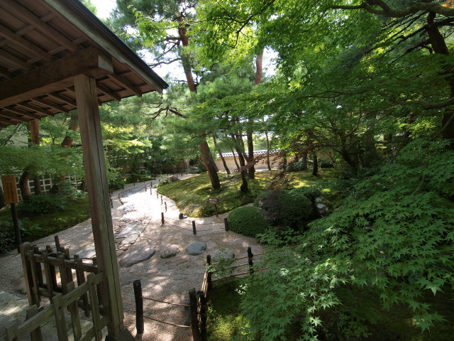 img0009.jpg