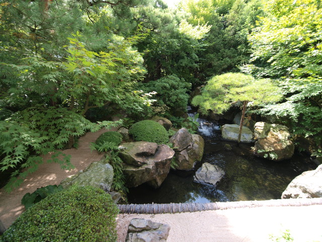 img0010.jpg