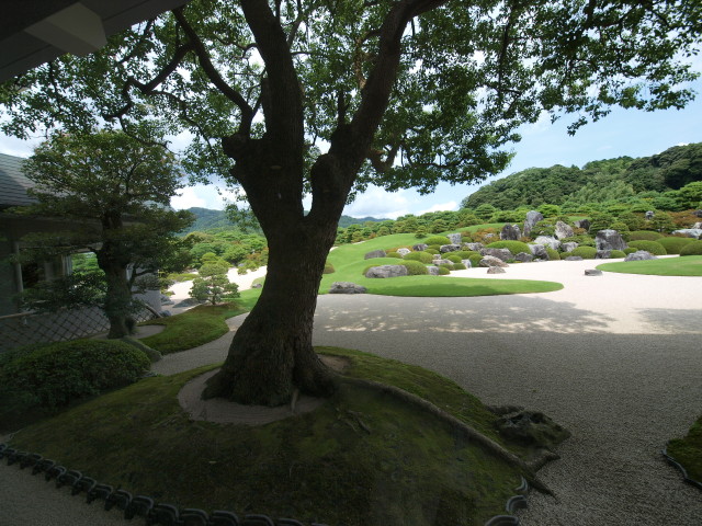 img0020.jpg