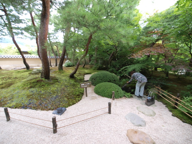 img0036.jpg