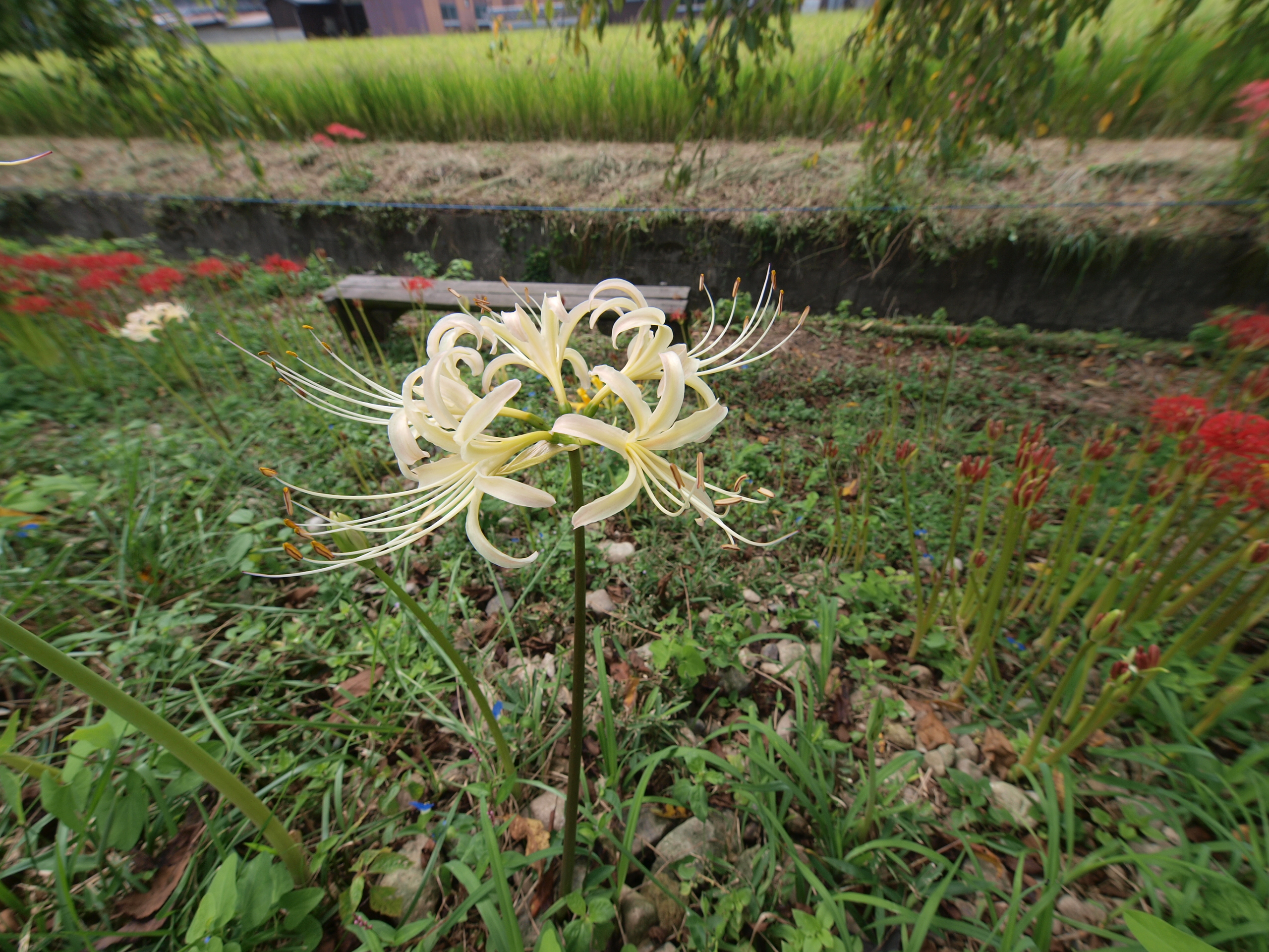 P9231581.JPG