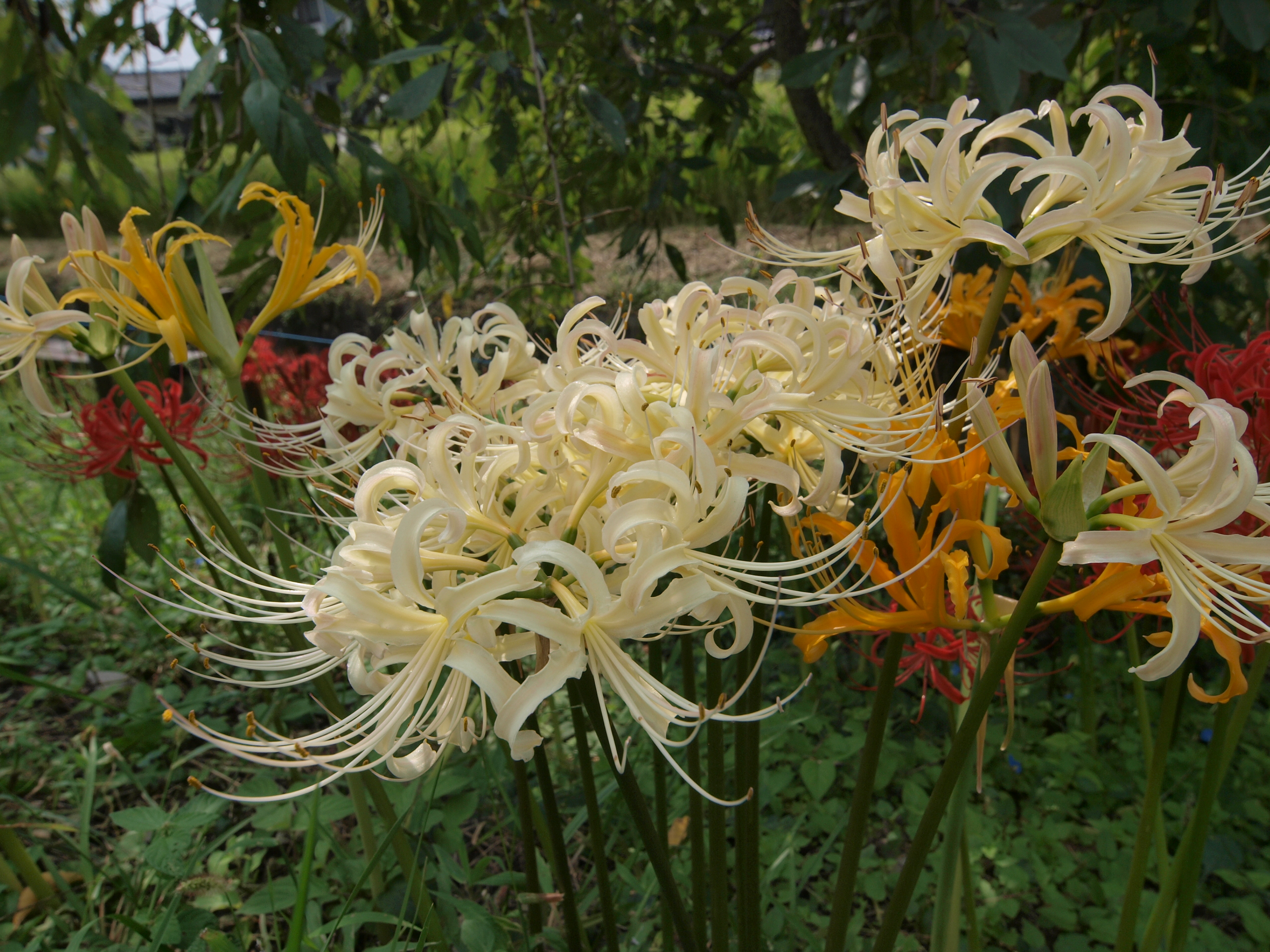 P9231585.JPG