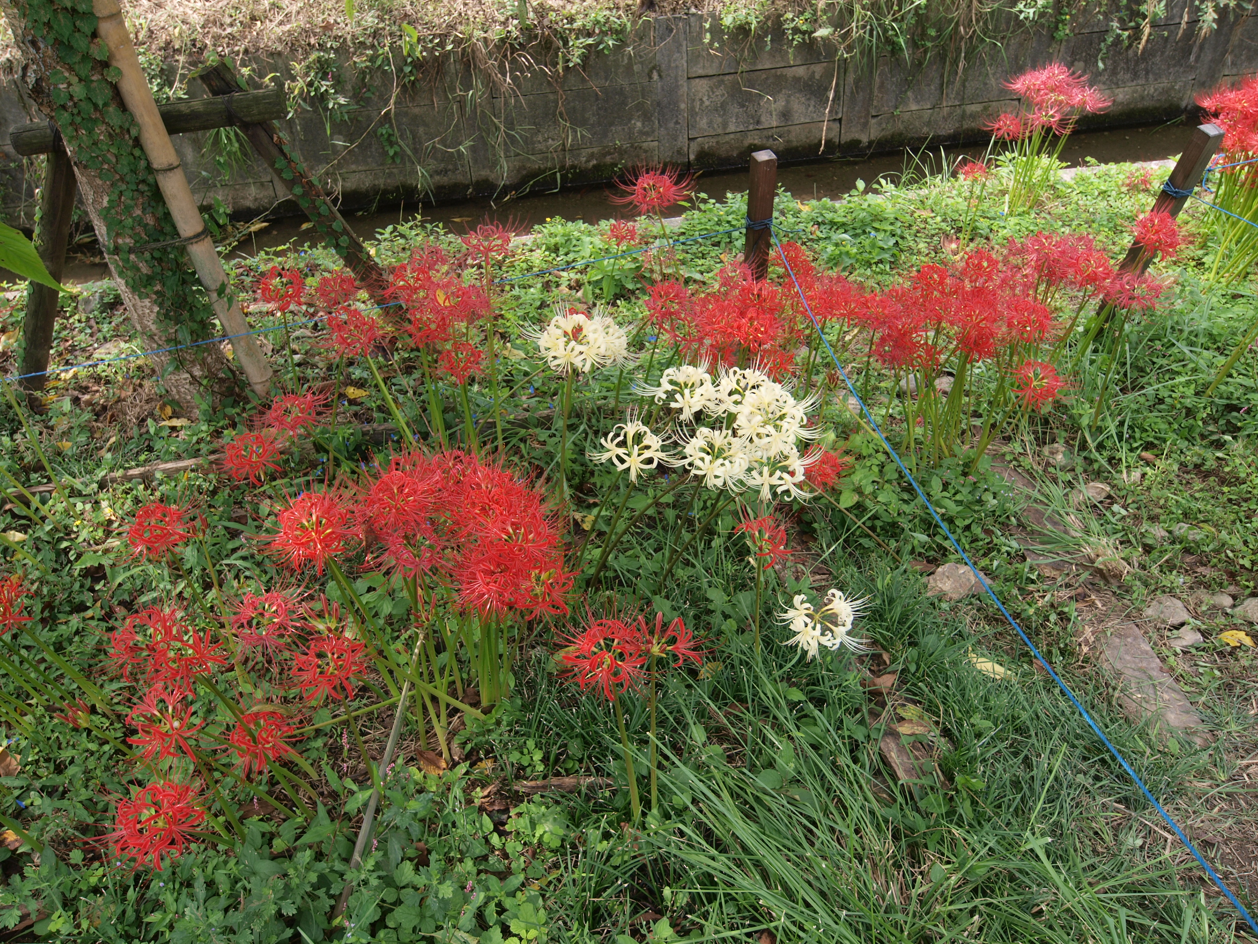 P9231586.JPG