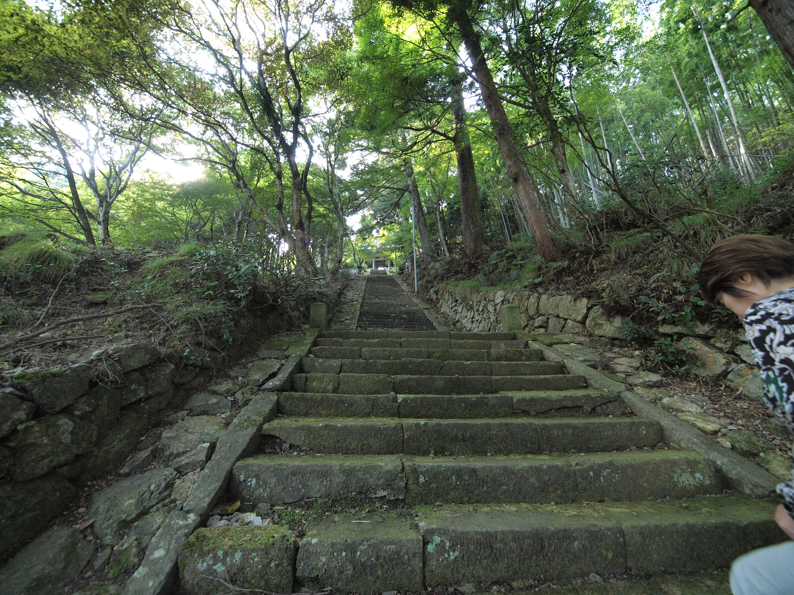 P9231618.JPG