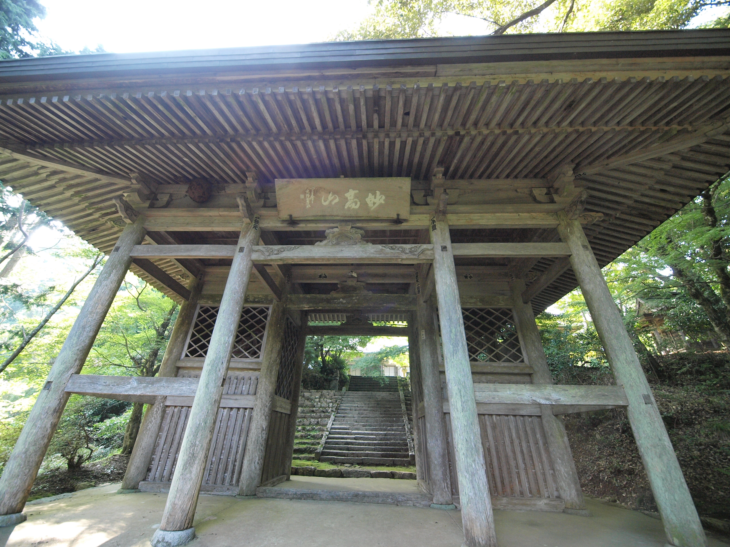 P9231620.JPG