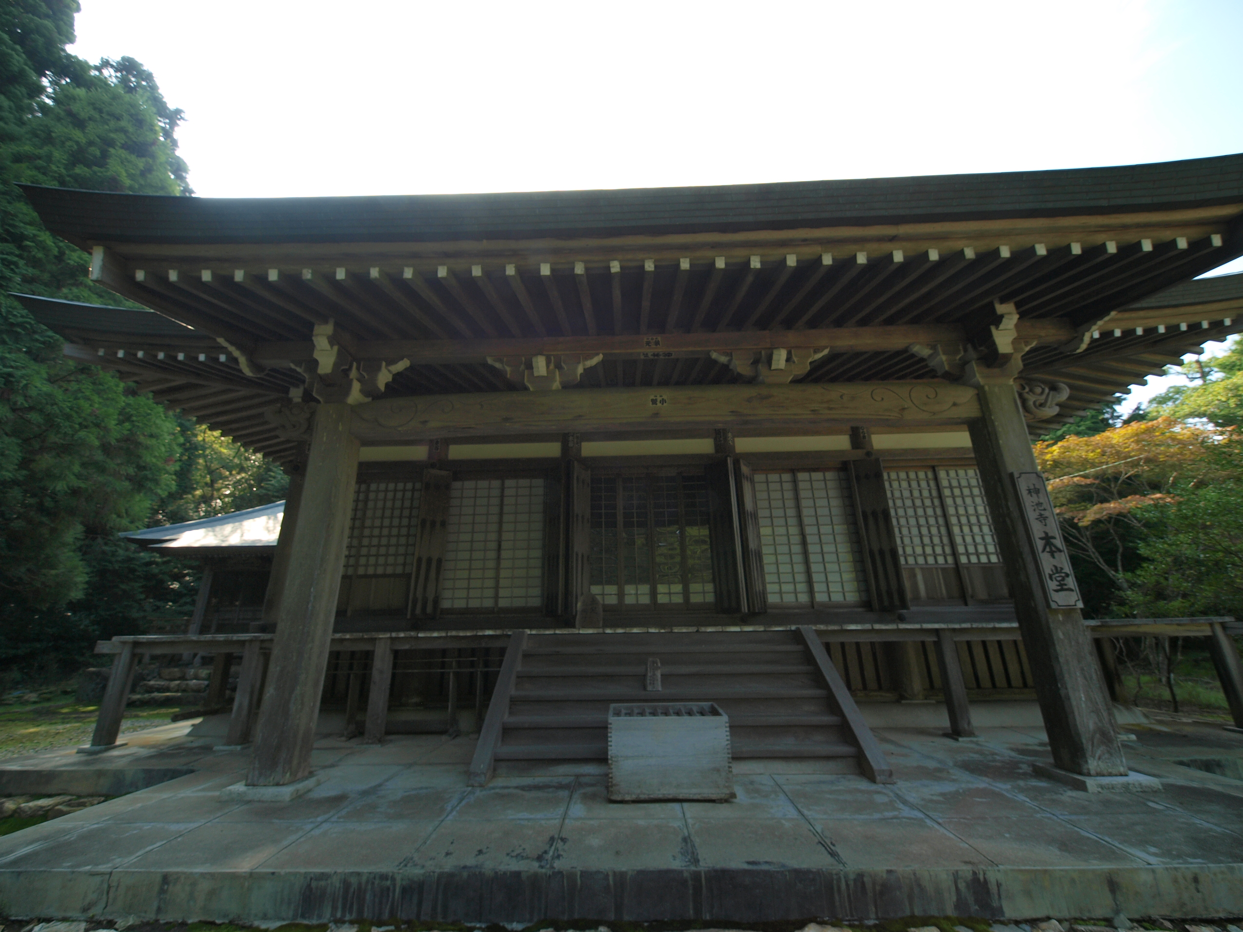 P9231624.JPG