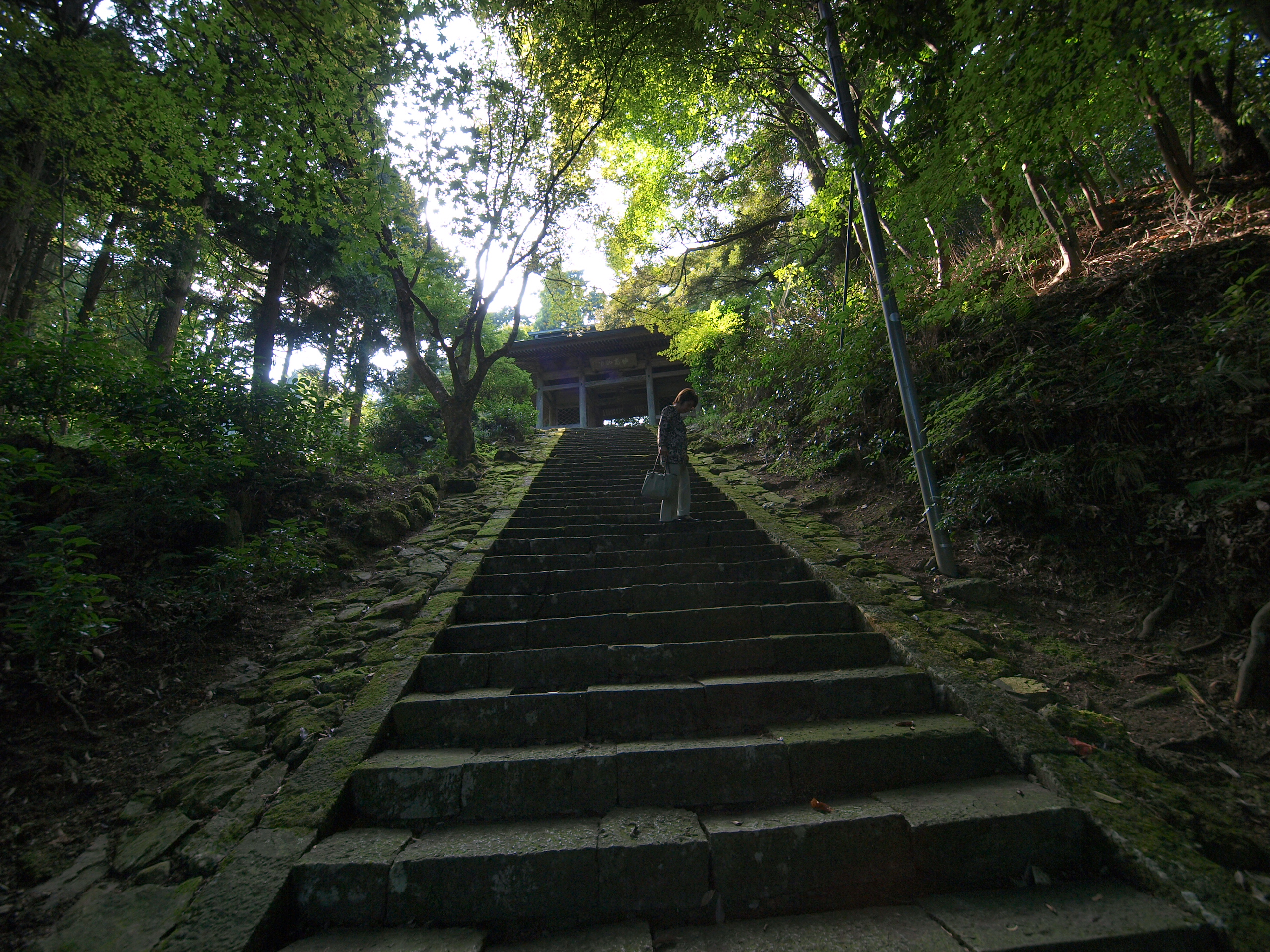 P9231626.JPG