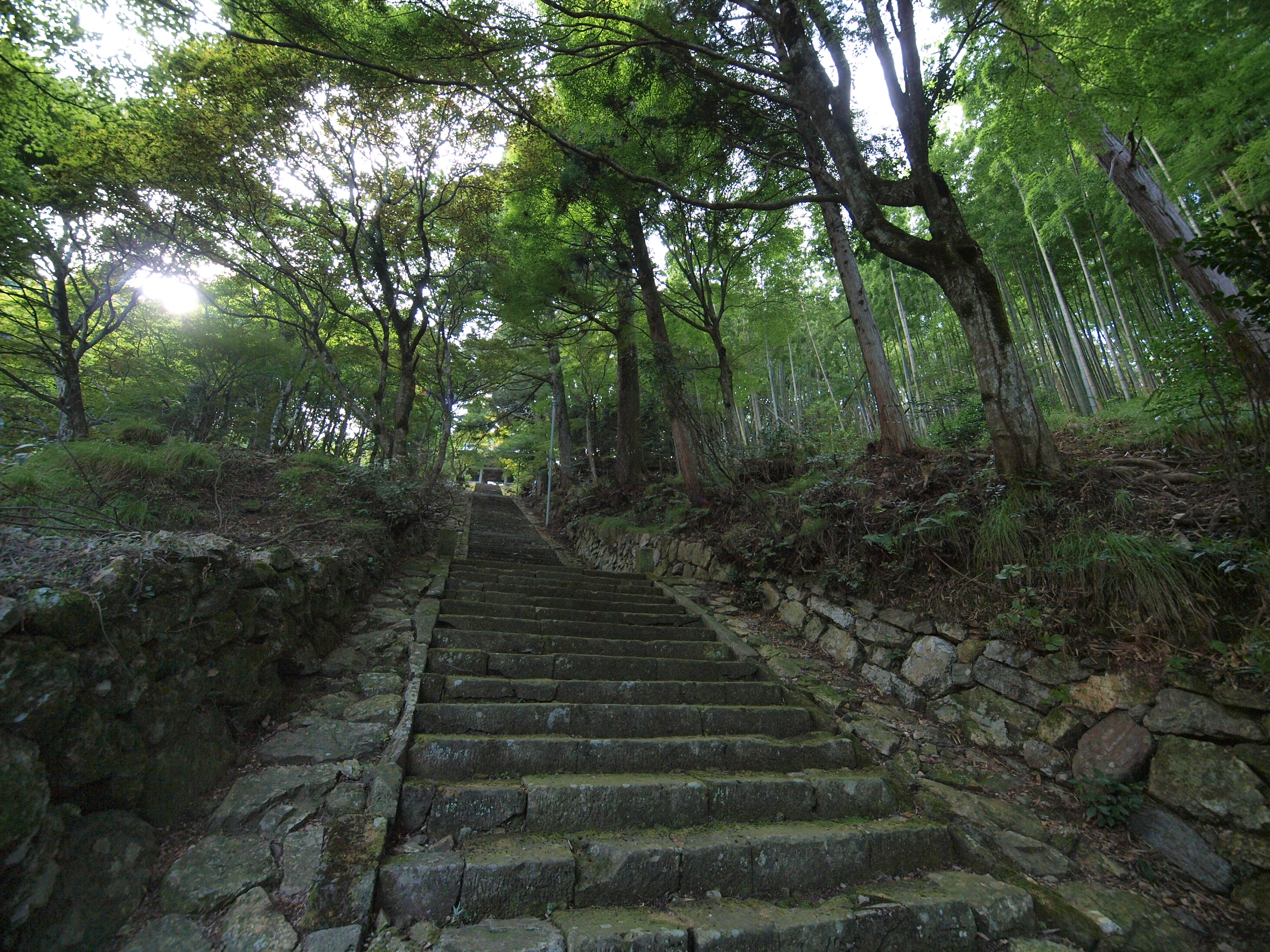P9231627.JPG