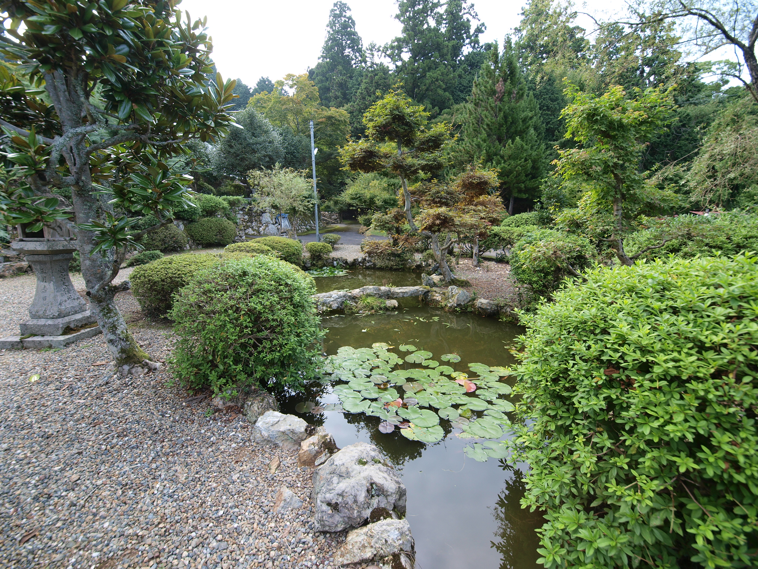 P9231629.JPG