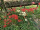img0008.jpg