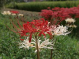 img0013.jpg