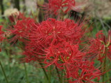 img0014.jpg