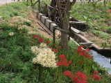 img0015.jpg