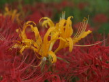 img0017.jpg