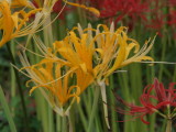 img0018.jpg