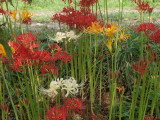 img0019.jpg