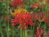 img0022.jpg