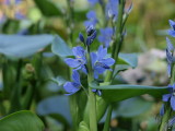 img0032.jpg