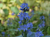 img0033.jpg